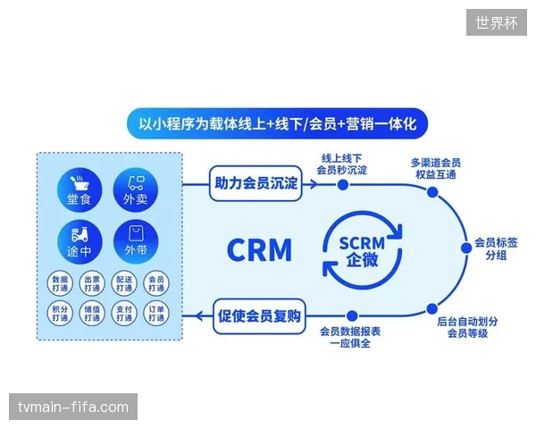 体育赛事服务市场进入精细化阶段，粗放式内容分发模式正在加速清退